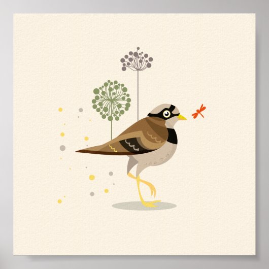 夏図解入りの、写真付きのの鳥 ポスター (正面)