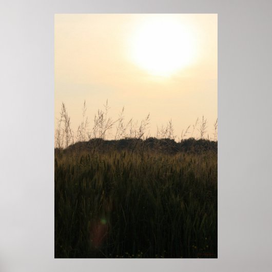 夏場 ポスター (正面)