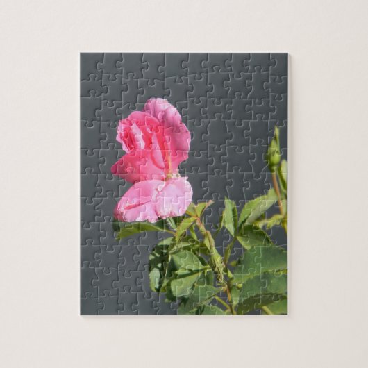 夏季恋… ジグソーパズル (縦)