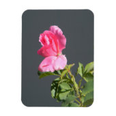 夏季恋… マグネット (縦)