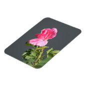 夏季恋… マグネット (左側)