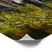 夏嵐の油絵のポスター ポスター (角)