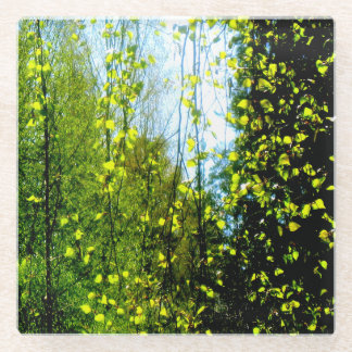 夏幕 ガラスコースター