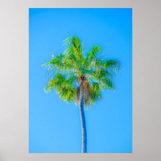 夏感じ ポスター (正面)