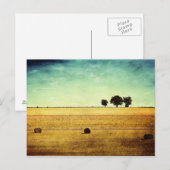 夏時間 ポストカード (正面/裏面)