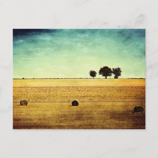 夏時間 ポストカード (正面)