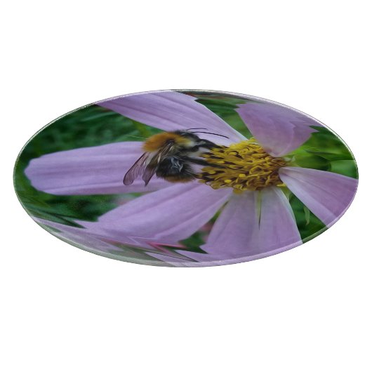 夏暑さ カッティングボード (角)