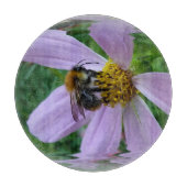 夏暑さ カッティングボード (正面)