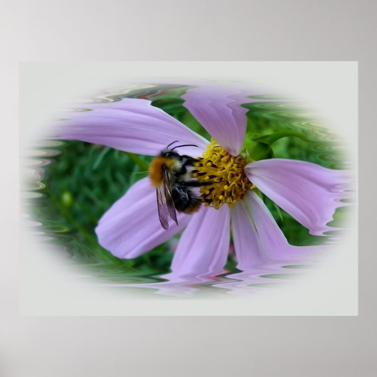 夏暑さ ポスター (正面)