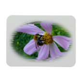 夏暑さ マグネット (横)