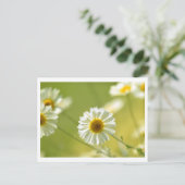 夏期はがき ポストカード (スタンド正面)