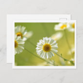 夏期はがき ポストカード (正面/裏面)