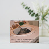 夏期カッコいい猫 ポストカード (スタンド正面)