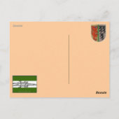 夏期カッコいい猫 ポストカード (裏面)