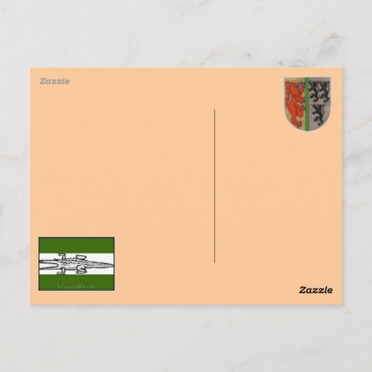 夏期カッコいい猫 ポストカード (裏面)