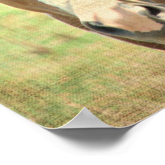 夏期シェード ポスター (角)