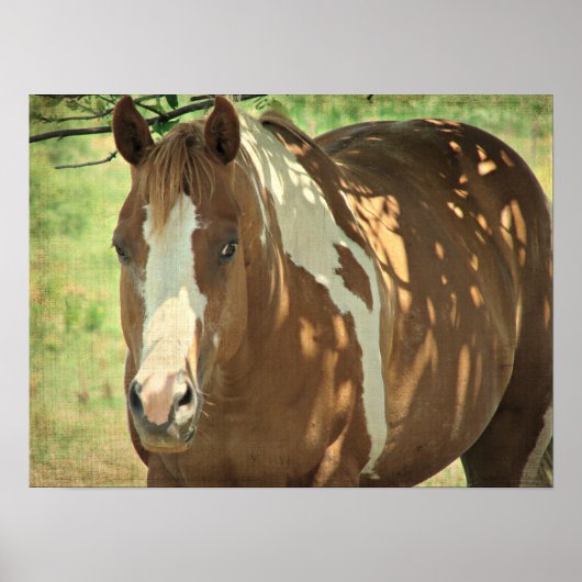 夏期シェード ポスター (正面)