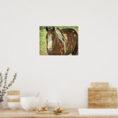 夏期シェード ポスター (キッチン)