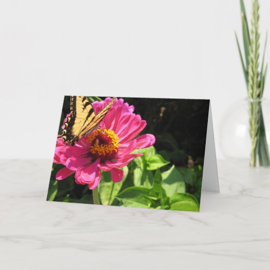 夏期フレンド2 カード (正面)