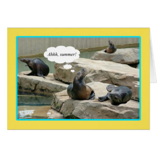 夏期休暇! chillaxinの時間