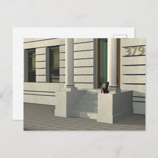 夏期猫 ポストカード (正面/裏面)