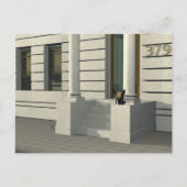 夏期猫 ポストカード (正面)