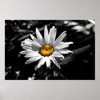 夏期美しい ポスター