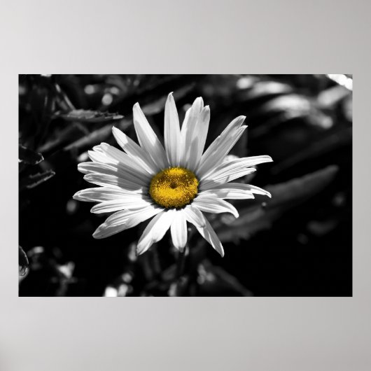 夏期美しい ポスター (正面)