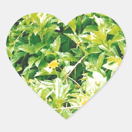 夏期花と植物 ハートシール (正面)