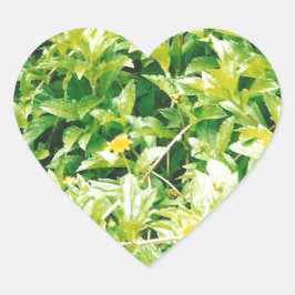 夏期花と植物 ハートシール