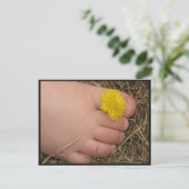 夏期 ポストカード (スタンド正面)