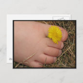 夏期 ポストカード (正面/裏面)