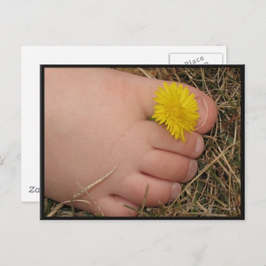 夏期 ポストカード (正面/裏面)