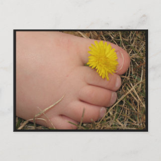 夏期 ポストカード