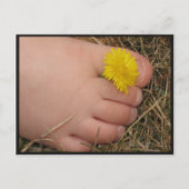 夏期 ポストカード (正面)