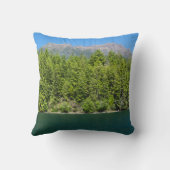 夏枕のクッシュマン湖と山エリノア クッション (裏面)