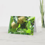 夏梨 サンキューカード (正面)