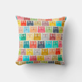 夏猫 クッション (正面)