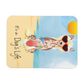 夏紋付中国のき マグネット (横)