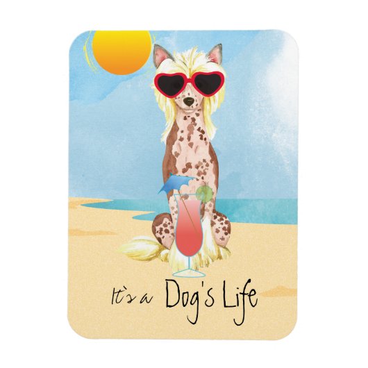 夏紋付中国のき マグネット (縦)