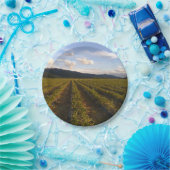 夏紙プレート ペーパープレート (パーティー)