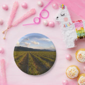 夏紙プレート ペーパープレート (パーティー)