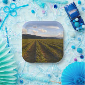 夏紙プレート ペーパープレート (パーティー)