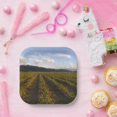 夏紙プレート ペーパープレート (パーティー)