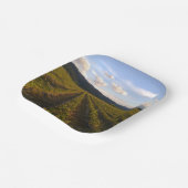 夏紙プレート ペーパープレート (傾斜あり)