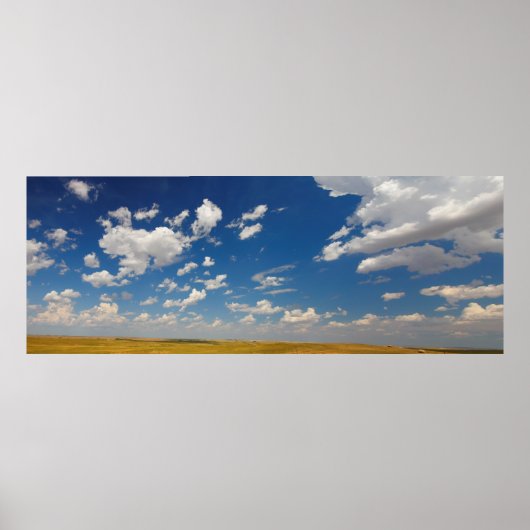 夏素晴らしのサウスダコタの平野 ポスター (正面)