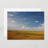 夏素晴らしのサウスダコタの平野 ポストカード (正面/裏面)