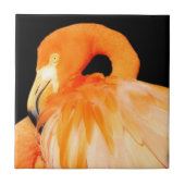 夏素晴らしの太陽のフラミンゴ タイル (正面)