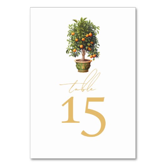 夏結婚のオレンジ テーブルナンバー (正面)