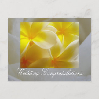 夏結婚の ポストカード